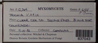 Image Associated With the Occurence